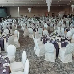 IWD-Gala-2025-238